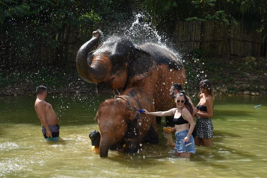 Phuket: Half Day or 2-Hour Ethical Elephant Care Sanctuary - Quick points to know
