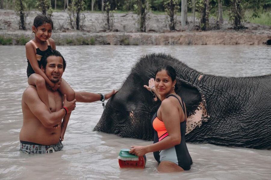 Phuket: Half Day or 2-Hour Ethical Elephant Care Sanctuary - Meeting elephants at Nai Dee Elephant Care Park