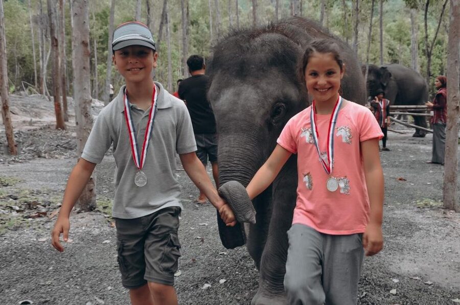 Phuket: Half Day or 2-Hour Ethical Elephant Care Sanctuary - The half-day mud spa and bathing session