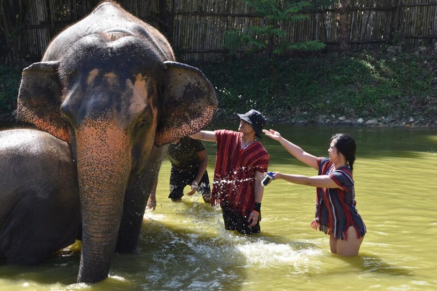 Phuket: Half Day or 2-Hour Ethical Elephant Care Sanctuary - Thai food adds more than a filler activity