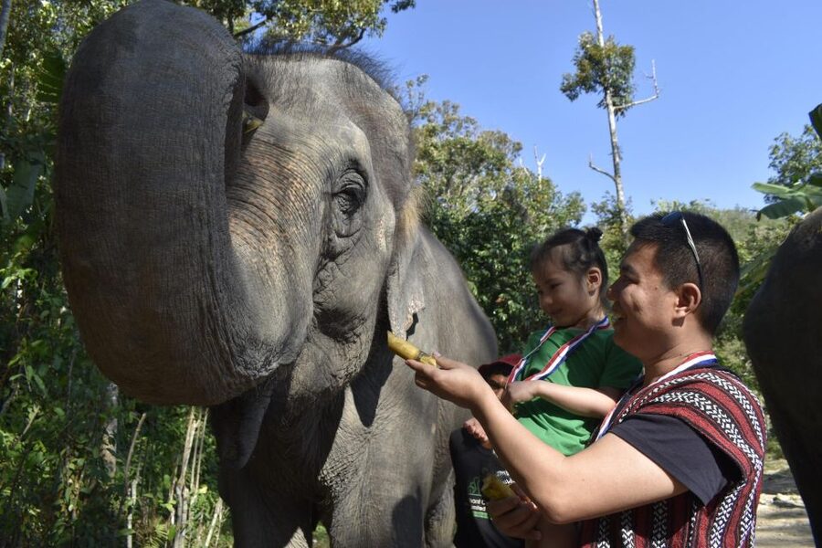 Phuket: Half Day or 2-Hour Ethical Elephant Care Sanctuary - Two hours or half a day?
