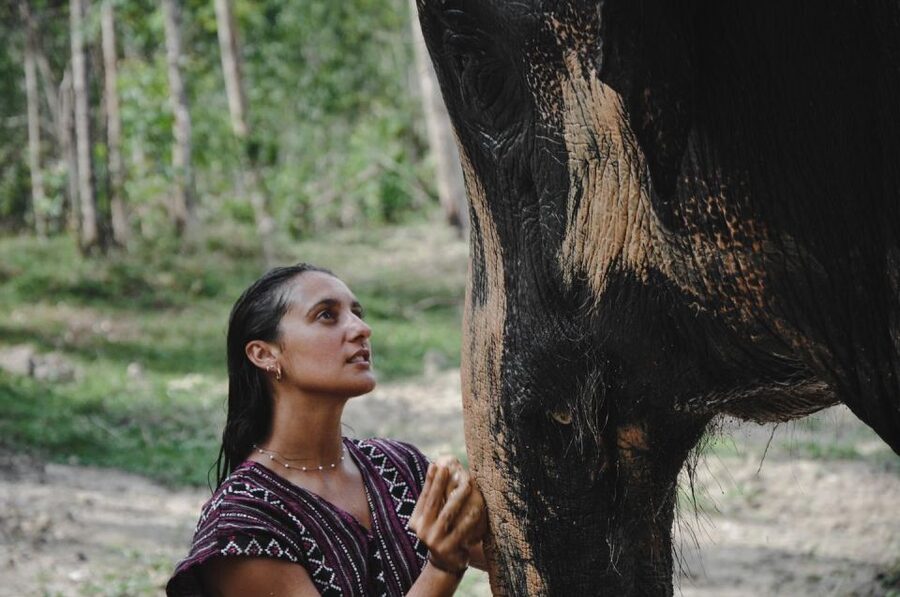 Phuket: Half Day or 2-Hour Ethical Elephant Care Sanctuary - What to bring and what to wear