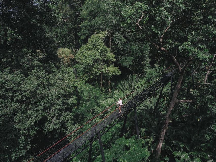 Phuket: Hanuman World Zip Line Adventure - Key points to know before you book