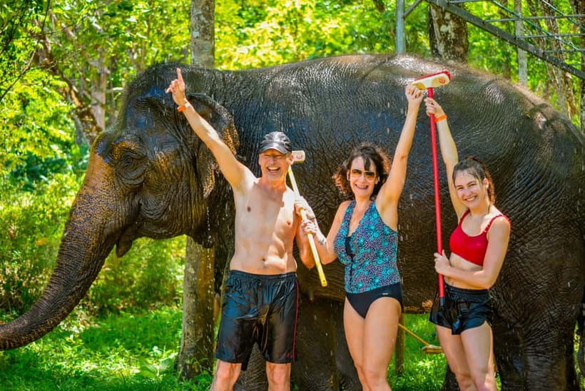 Phuket: Happy Hour Feed and Rain Shower with Elephant - Meeting the elephants at Lily Elephant Camp Phuket