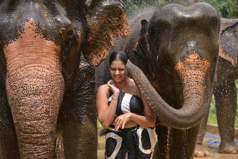 Phuket: Happy Hour Feed and Rain Shower with Elephant - What the beach setting adds, and what it does not
