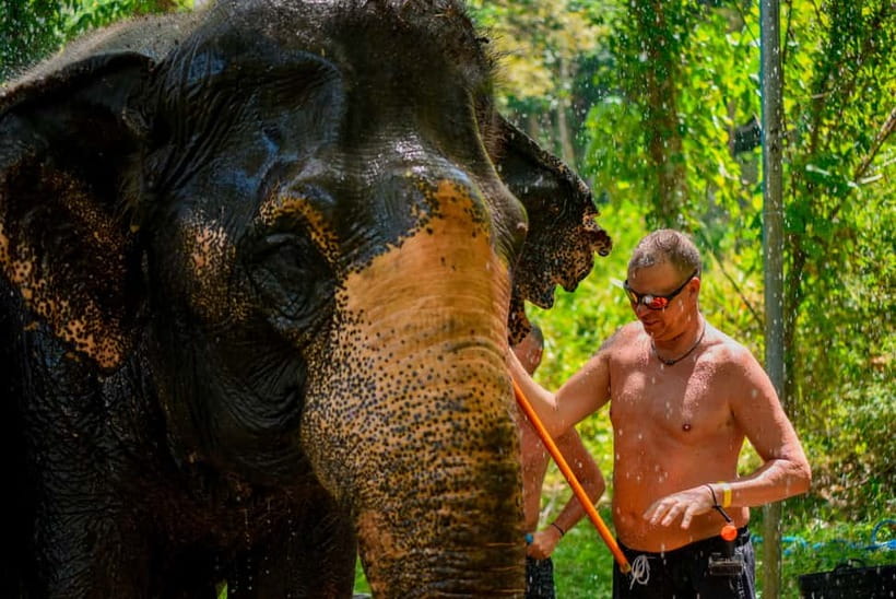 Phuket: Happy Hour Feed and Rain Shower with Elephant - What is included for the $37 price