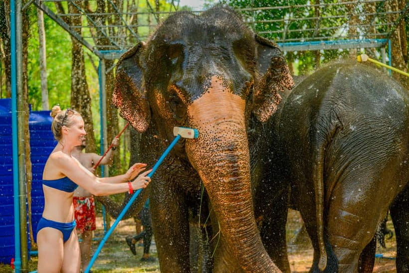 Phuket: Happy Hour Feed and Rain Shower with Elephant - Planning your arrival without a pickup