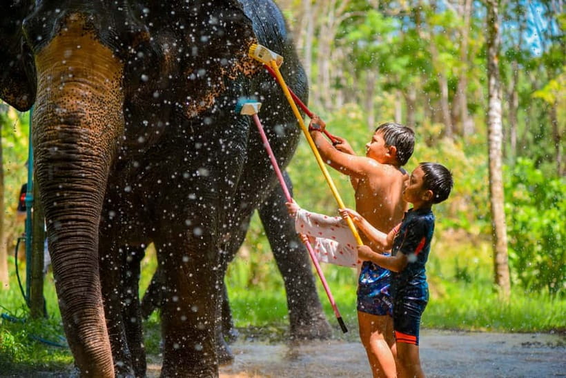 Phuket: Happy Hour Feed and Rain Shower with Elephant - Small comforts make the afternoon easier