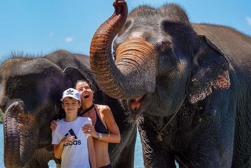 Phuket: Happy Hour Feed and Rain Shower with Elephant - Booking terms and practical limits