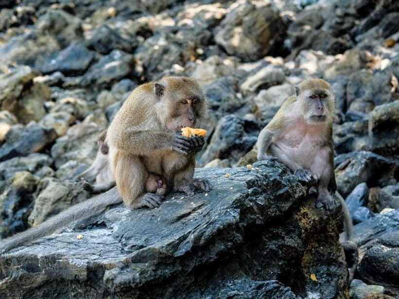Phuket: James Bond Island Sea Canoe with lunch by Big Boat - Key points to know before booking
