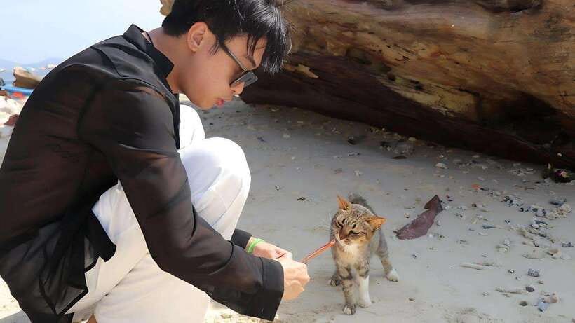 Phuket: Khai Nok, Khai Nai, and Khai Nui Island Day Trip - Khai Nai: the island with the cats