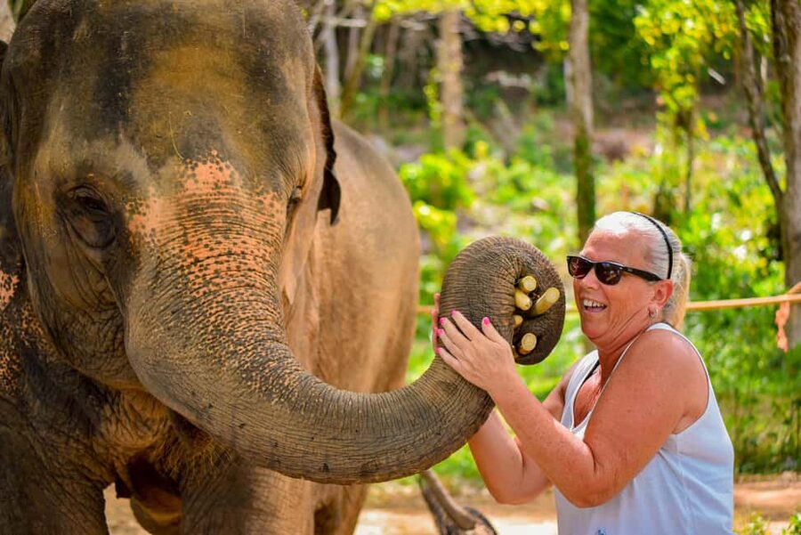 Phuket: Make & Meet The Gentle Giant Experience - Key points to know before you go