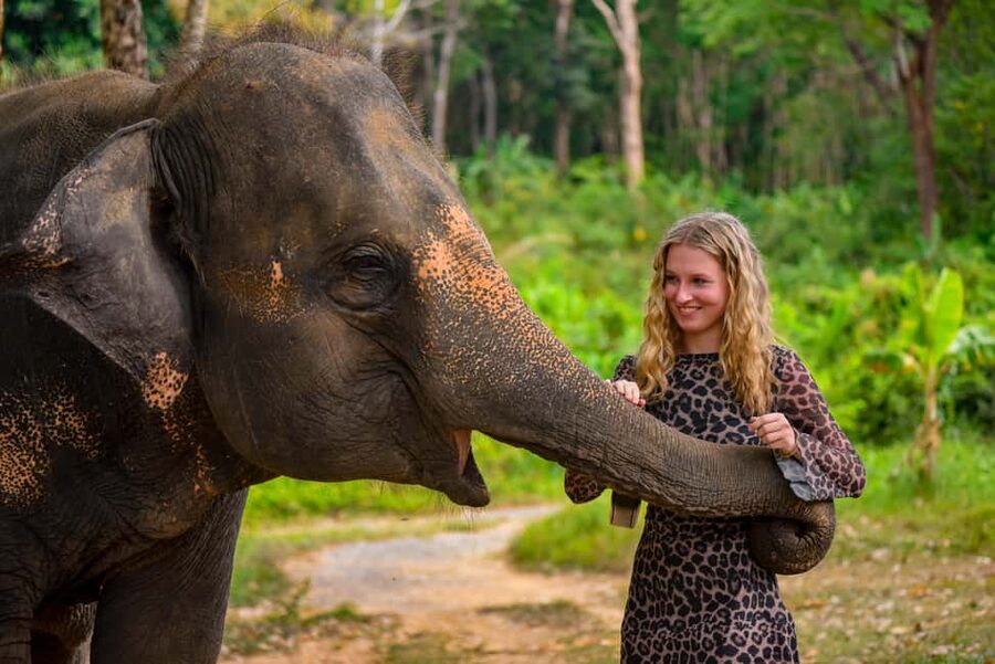 Phuket: Make & Meet The Gentle Giant Experience - Making vitamin balls at Lily Elephant Camp