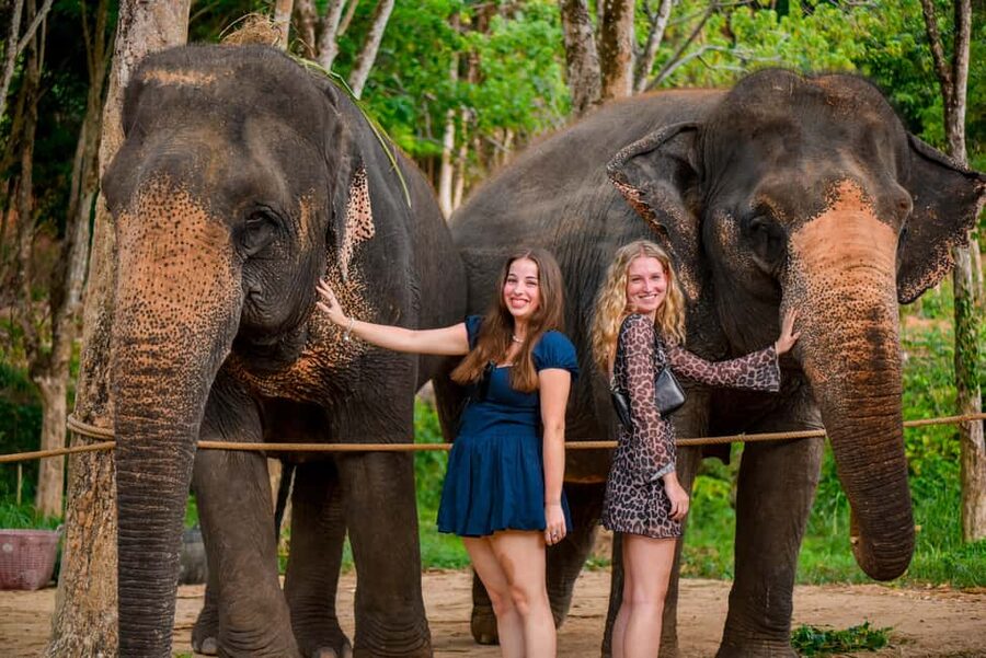 Phuket: Make & Meet The Gentle Giant Experience - A focused 2.5-hour visit, not a full-day tour