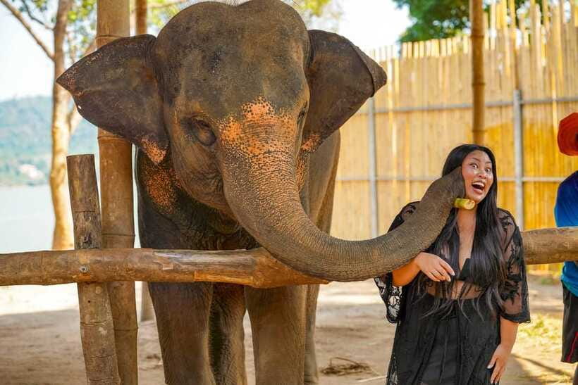 Phuket: Make & Meet The Gentle Giant Experience - Morning timing and crowd levels
