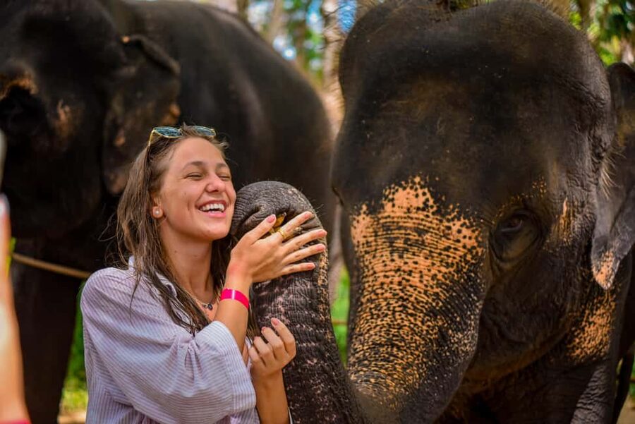 Phuket: Make & Meet The Gentle Giant Experience - A good choice for families and mixed-age groups