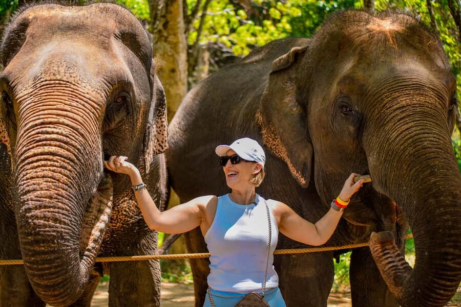 Phuket: Make & Meet The Gentle Giant Experience - Responsible expectations around the elephants
