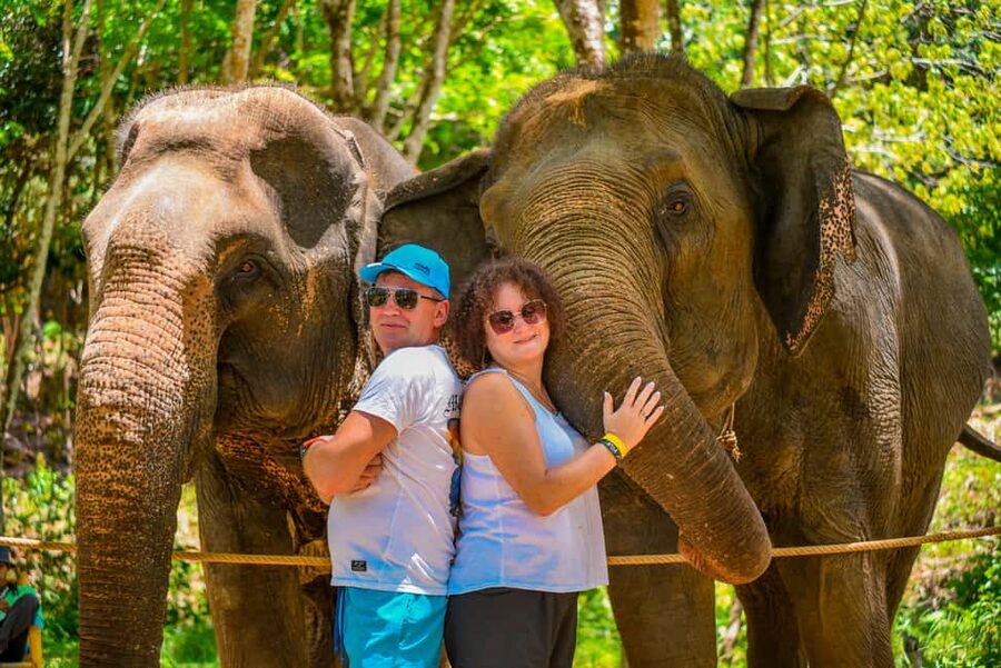 Phuket: Make & Meet The Gentle Giant Experience - Feeding elephants fruit and supplements