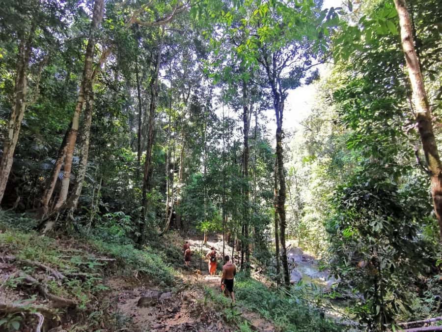 Phuket: Monkey Cave, Water Rafting, Zipline with ATV Option - Who should book this Phuket adventure?