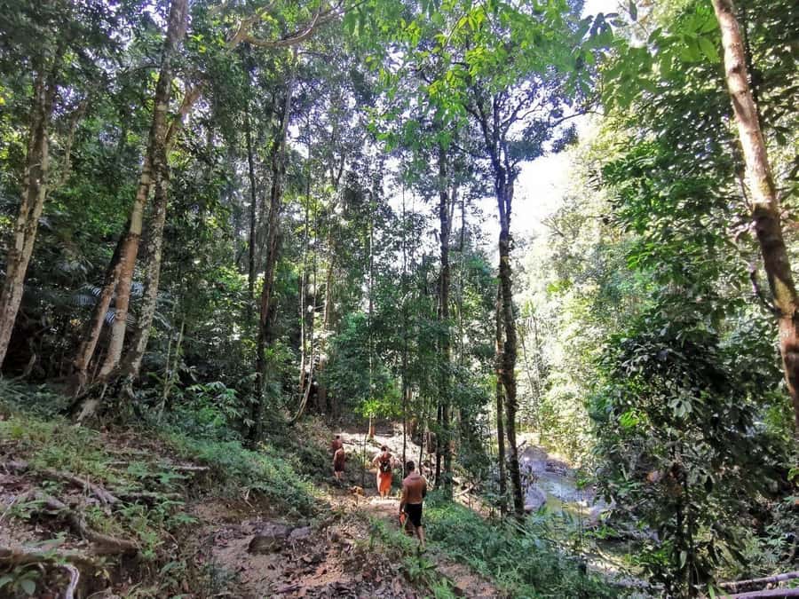 Phuket: Monkey Cave, Water Rafting, Zipline with ATV Option - How good is the value at $44?