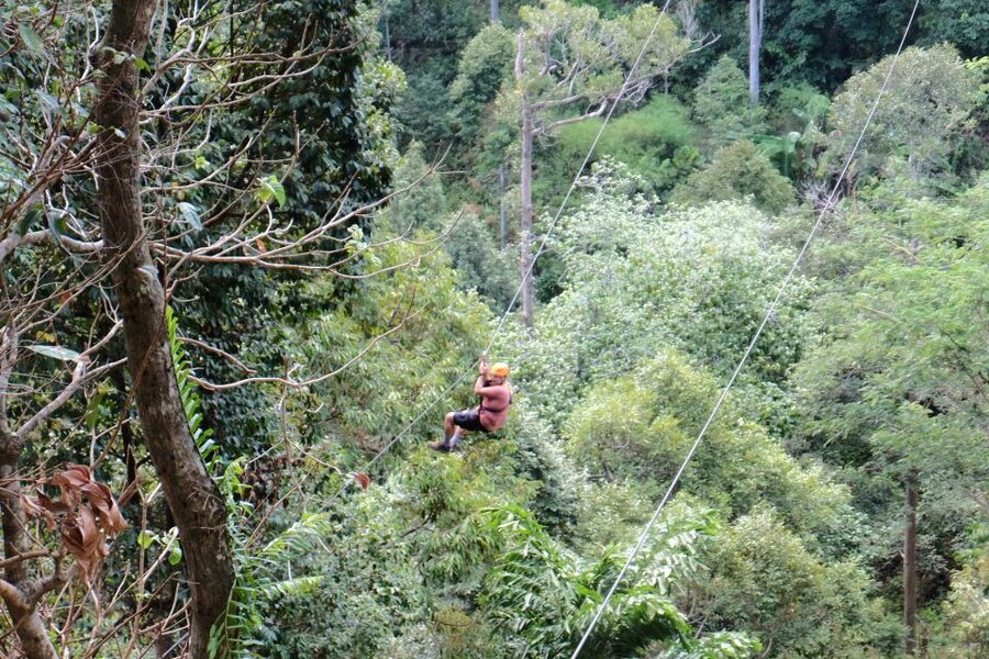 Phuket: Paradise Jungle Zipline Adventure - Adding the ATV and mountain stop