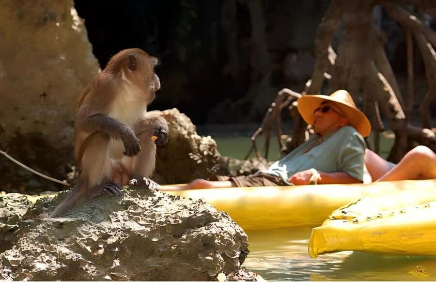 Phuket: Phang Nga,Hong & James Bond Islands by Big Boat - Panak Island: caves before the crowds