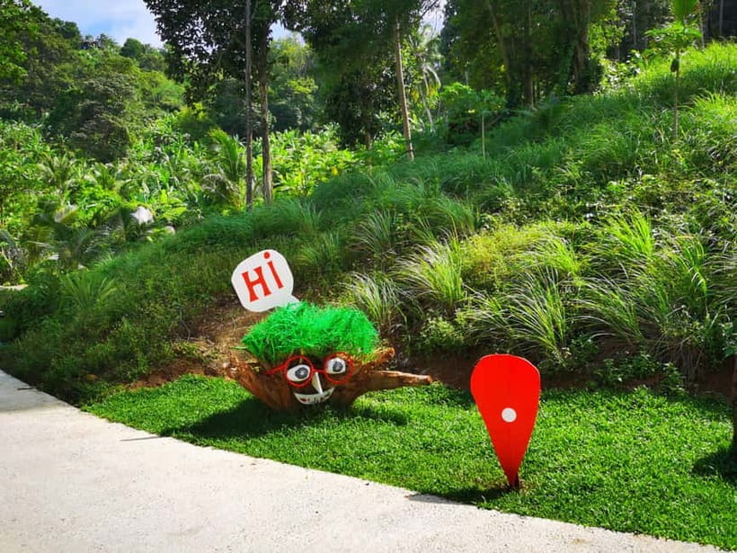 Phuket: Rock Beach Swing Entry Ticket - Bird’s nests, walkways, and designed photo spots