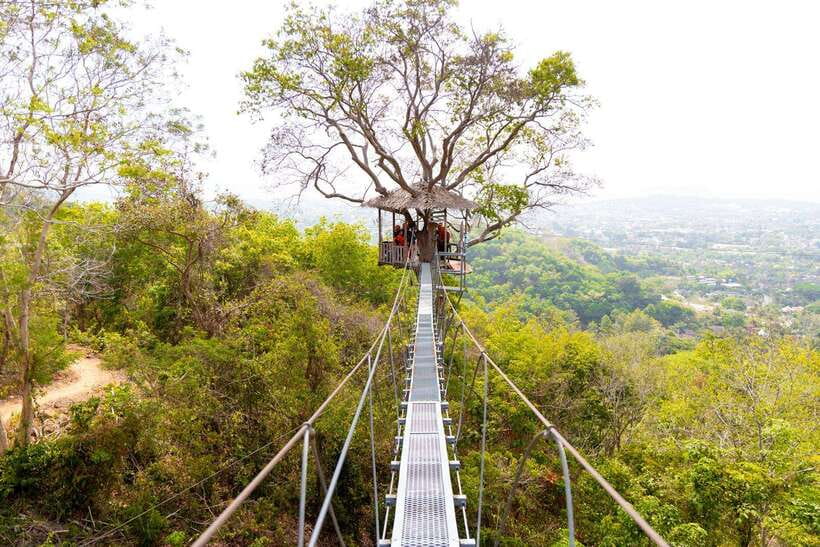 Phuket: Zipline Flying Higher than a Hawk with ATV Option - Adding the ATV ride through rough jungle tracks