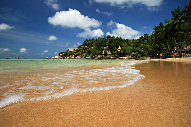 Pig Island Snorkeling & Sightseeing Tour By Speedboat From Koh Samui - Key points to know before booking