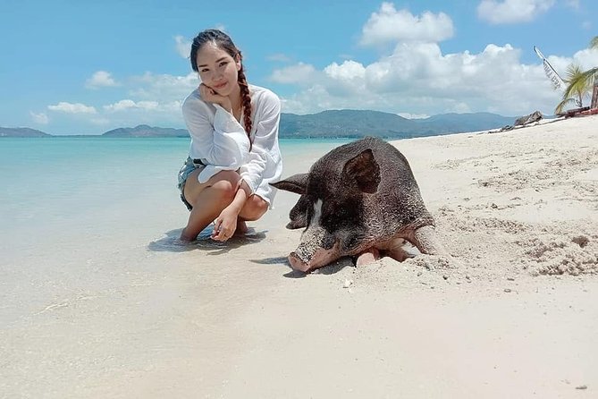 Pig Island Snorkeling & Sightseeing Tour By Speedboat From Koh Samui - Koh Tan snorkeling: allow about two hours