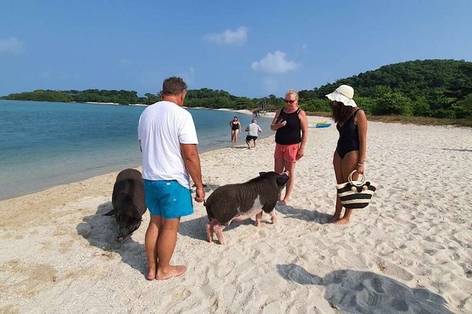 Pig Island Snorkeling & Sightseeing Tour By Speedboat From Koh Samui - Thai lunch, fruit, and what to bring