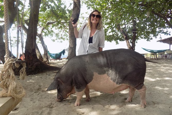 Pig Island Snorkeling & Sightseeing Tour By Speedboat From Koh Samui - Service, group size, and the practical weak spots