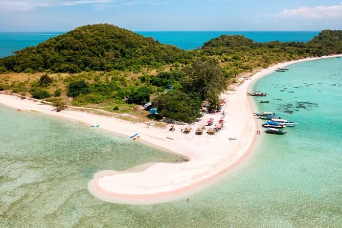 Pig Island Tour by Speedboat with Snorkeling - Koh Madsum, where the pigs meet the beach