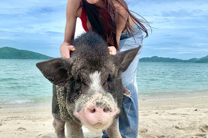 Pig Island Tour by Speedboat with Snorkeling - From your hotel to the modern speedboat