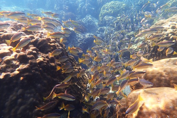 Private Full-Day Red Dragon Yacht to Angthong National Marine Park - Ko Mae Ko and the Blue Lagoon climb