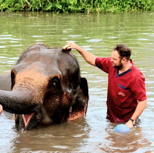 Rantong elephant sanctuary Chiangmai - Key points to know before booking