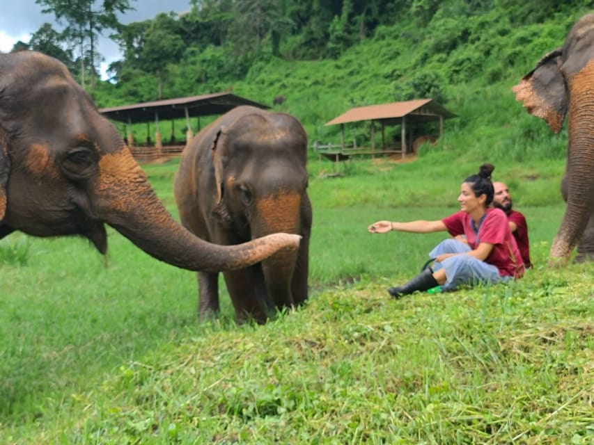 Rantong elephant sanctuary Chiangmai - Should you book Rantong Elephant Sanctuary?