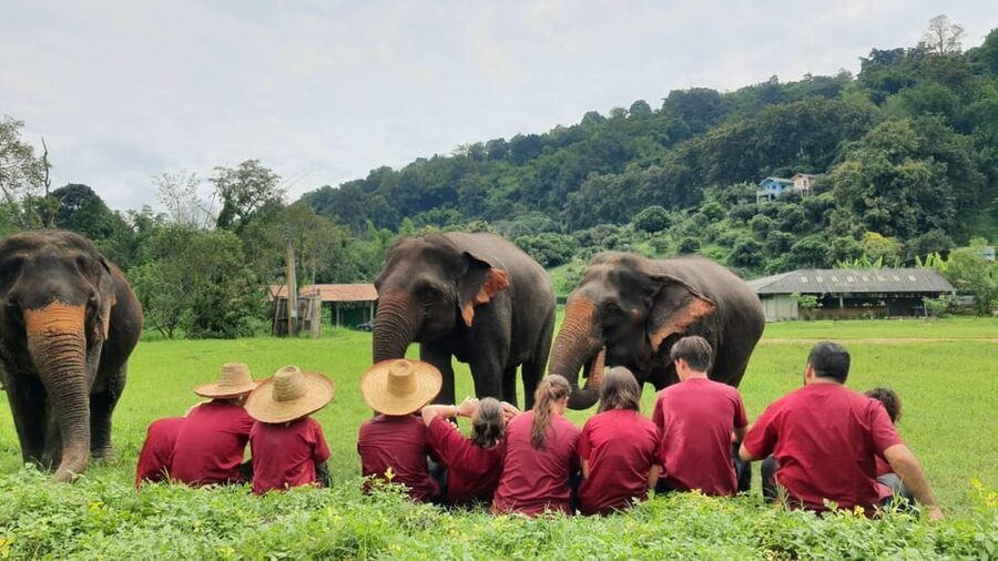 Rantong elephant sanctuary Chiangmai - Guides, language, and comfort