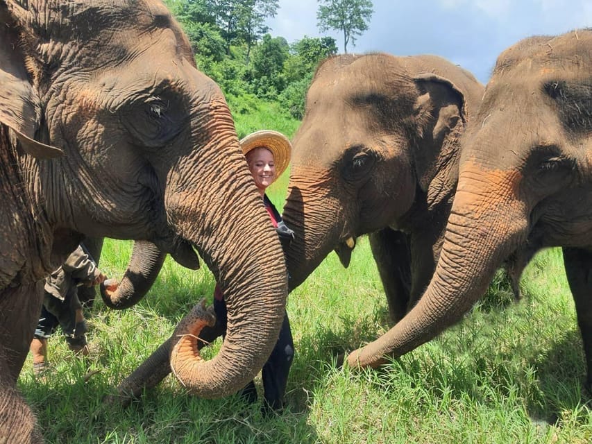 Rantong elephant sanctuary Chiangmai - Is the $57 price good value?