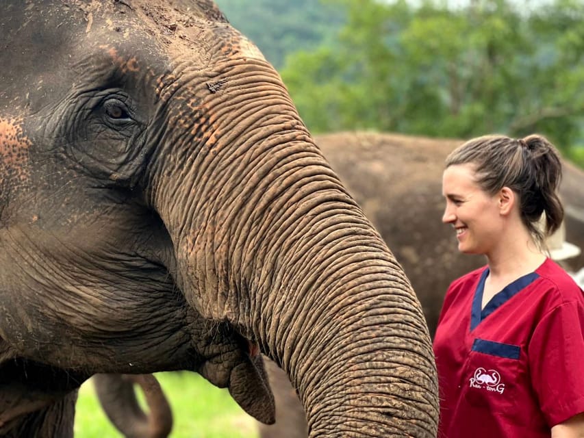 Rantong elephant sanctuary Chiangmai - Practical details that make the day easier