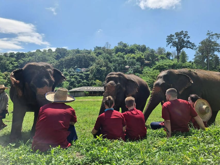 Rantong elephant sanctuary Chiangmai - Who will enjoy Rantong most?