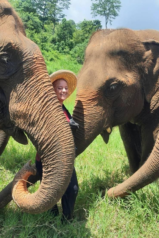 Rantong elephant sanctuary Chiangmai - What the four-hour visit looks like