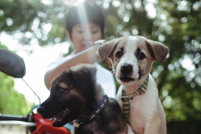 Rescue P.A.W.S. Day Visit - Why This Rescue Visit Feels Different