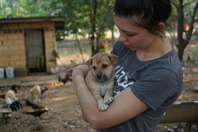Rescue P.A.W.S. Day Visit - Cats, Puppies, and Rehabilitation at 3:00pm
