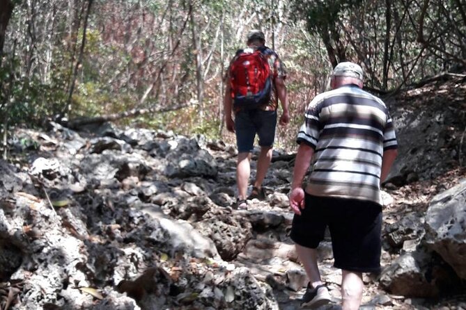 Sam Roi Yod National Park & Praya Nakhon Cave Join Group Tour - Is $81.49 a fair price?