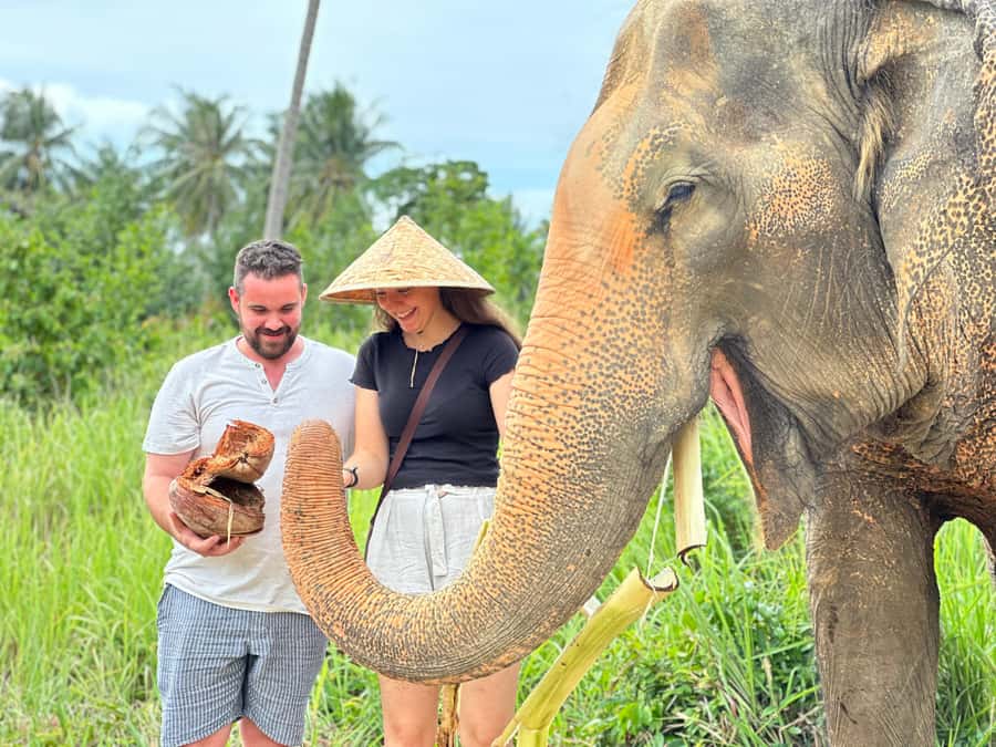 Samui:Elephant Jungle experience & The First Elephant Museum - Hotel pickup keeps the morning simple