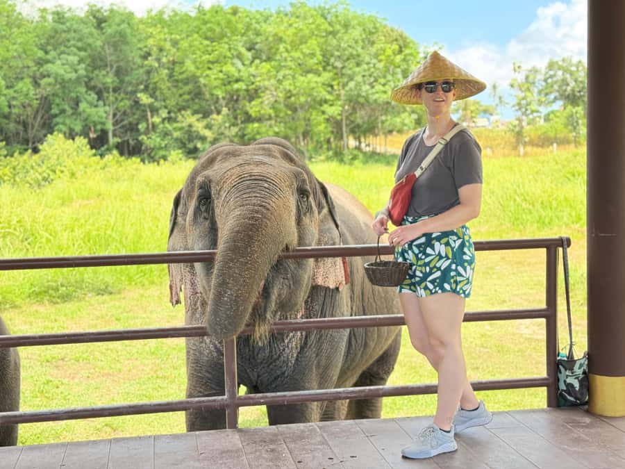 Samui:Elephant Jungle experience & The First Elephant Museum - How the three hours are divided