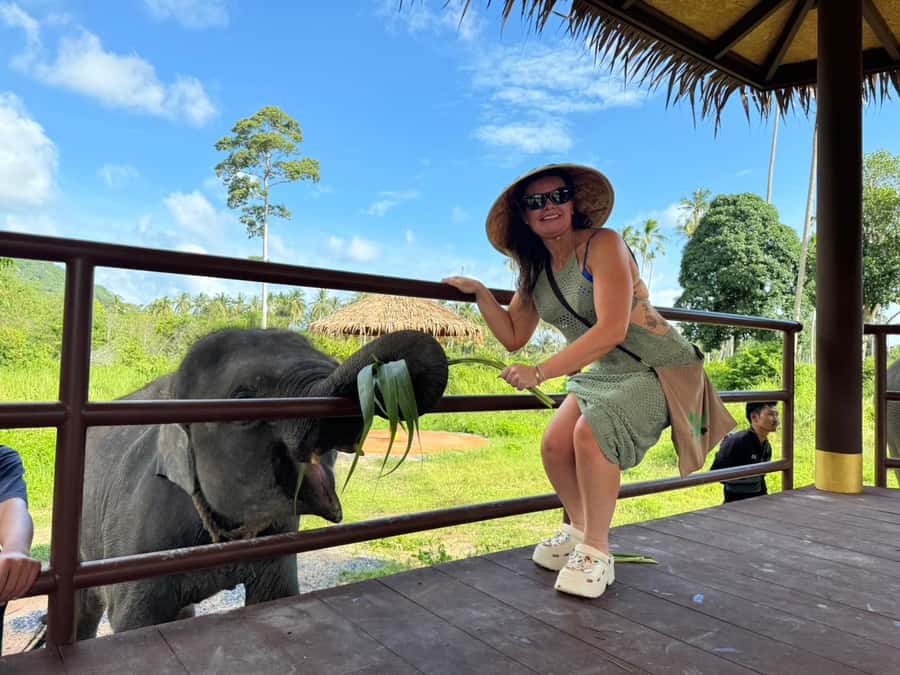 Samui:Elephant Jungle experience & The First Elephant Museum - Who will get the most from this experience