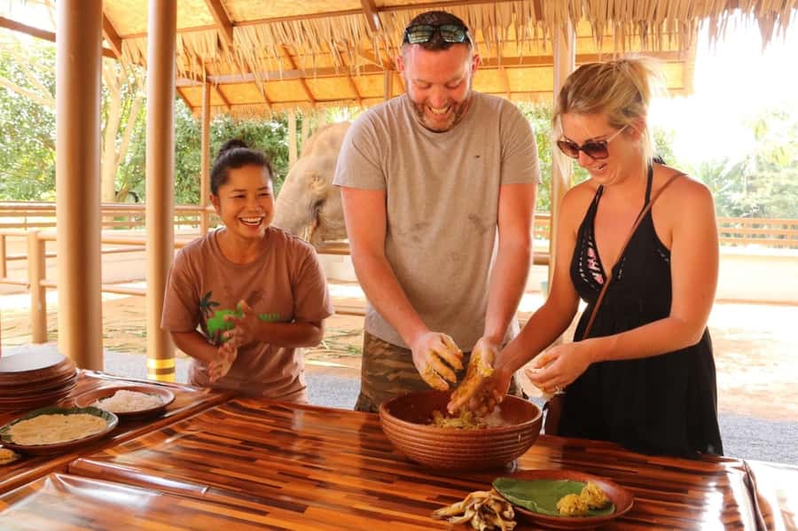 Samui: Elephant Nutrition and Care Education Experience - Key points to know before booking