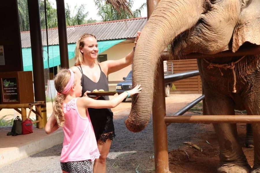 Samui: Elephant Nutrition and Care Education Experience - Preparing bananas, pumpkins, sticky rice, and herbs